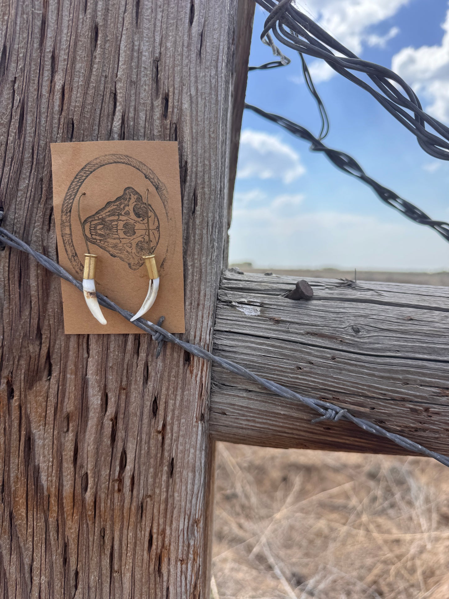Canis Canine Earrings