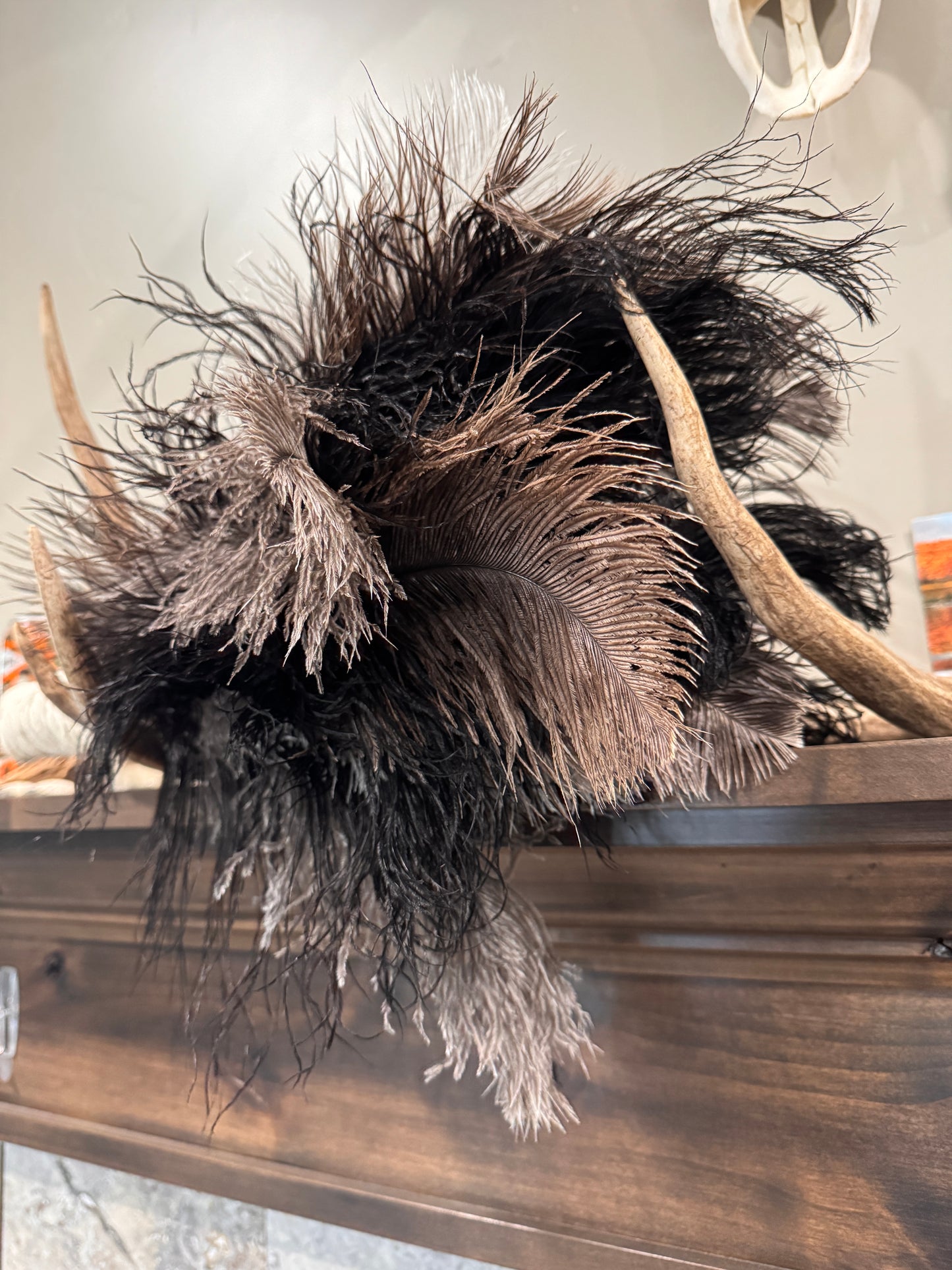 Ostrich Feather Duster